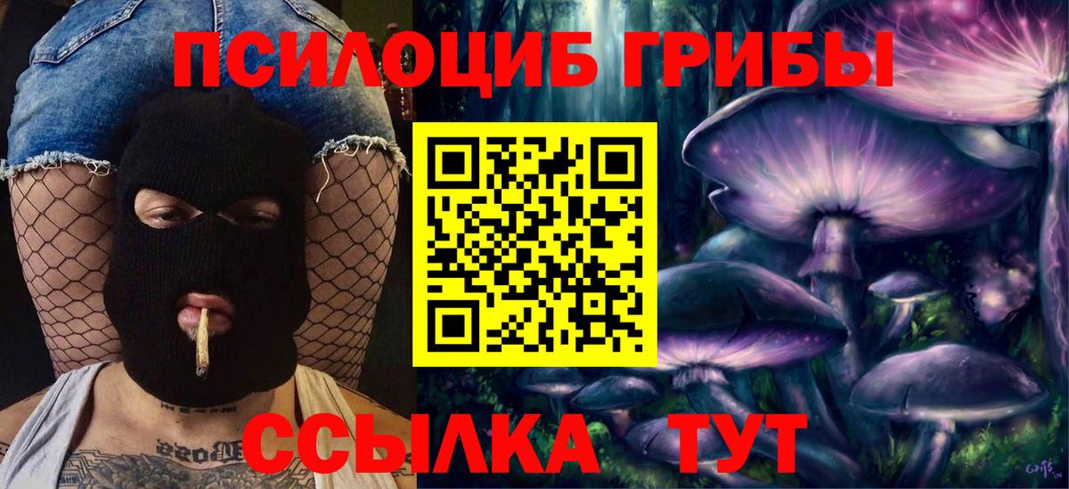 Орехово-Зуево  закладка  Вход с VPN  Галлюциногенные грибы Magic Shrooms 